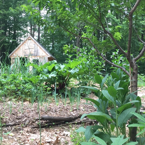 Meet your Posher, Sarah - Picture 4 of 8